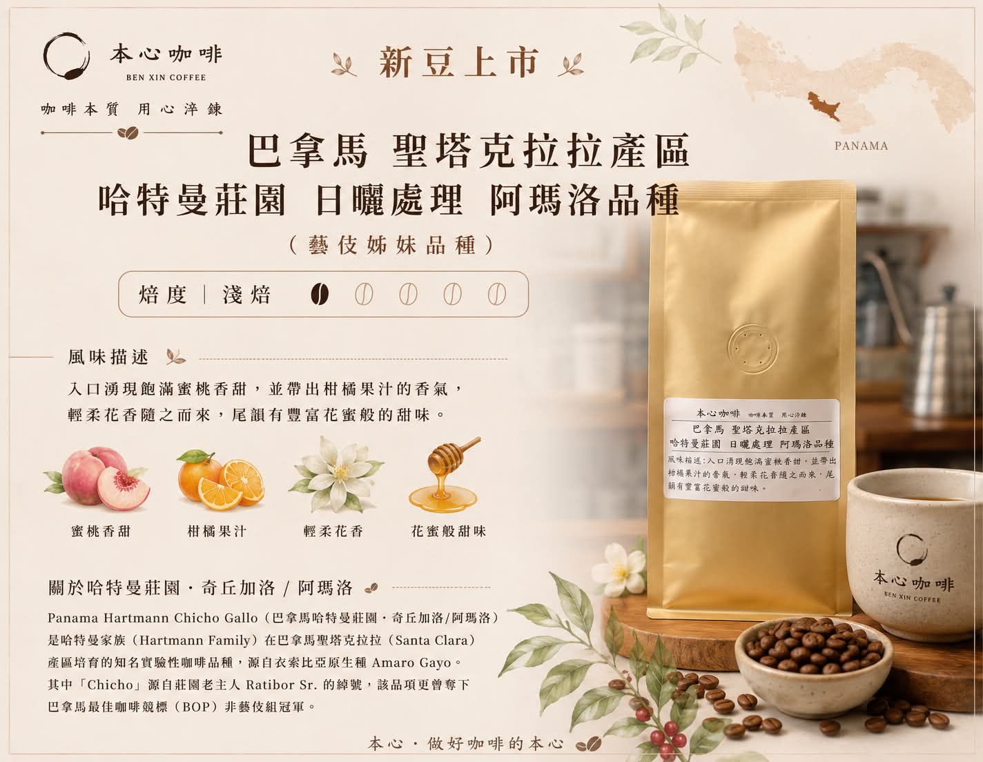 巴拿馬 聖塔克拉拉產區 哈特曼莊園 日曬處理 阿瑪洛品種